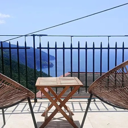Salvia Cinque Terre * ローマ