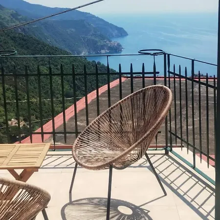 Salvia Cinque Terre ローマ